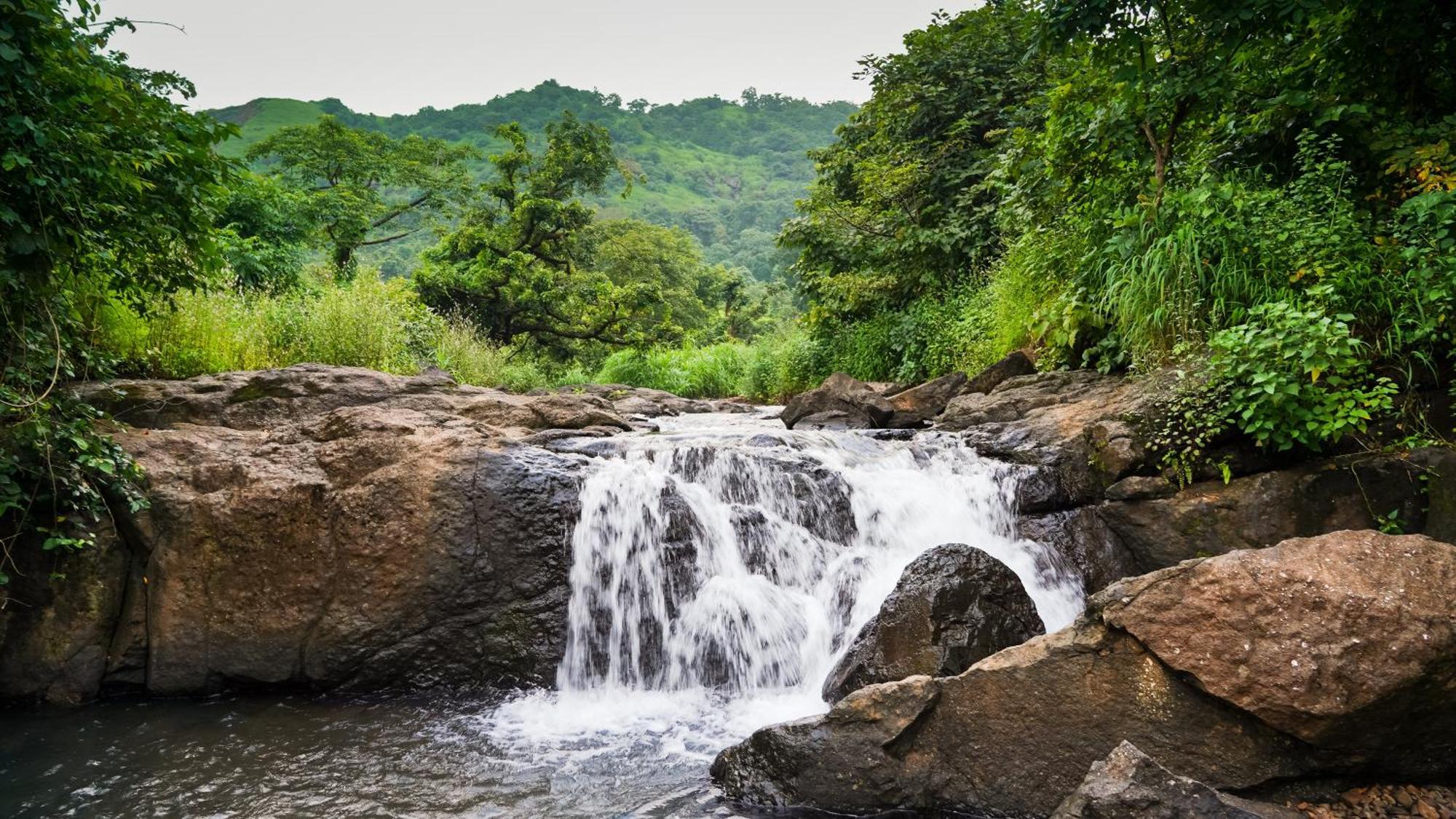 Whispering Peepul Resort Badlapur Ngoại thất bức ảnh