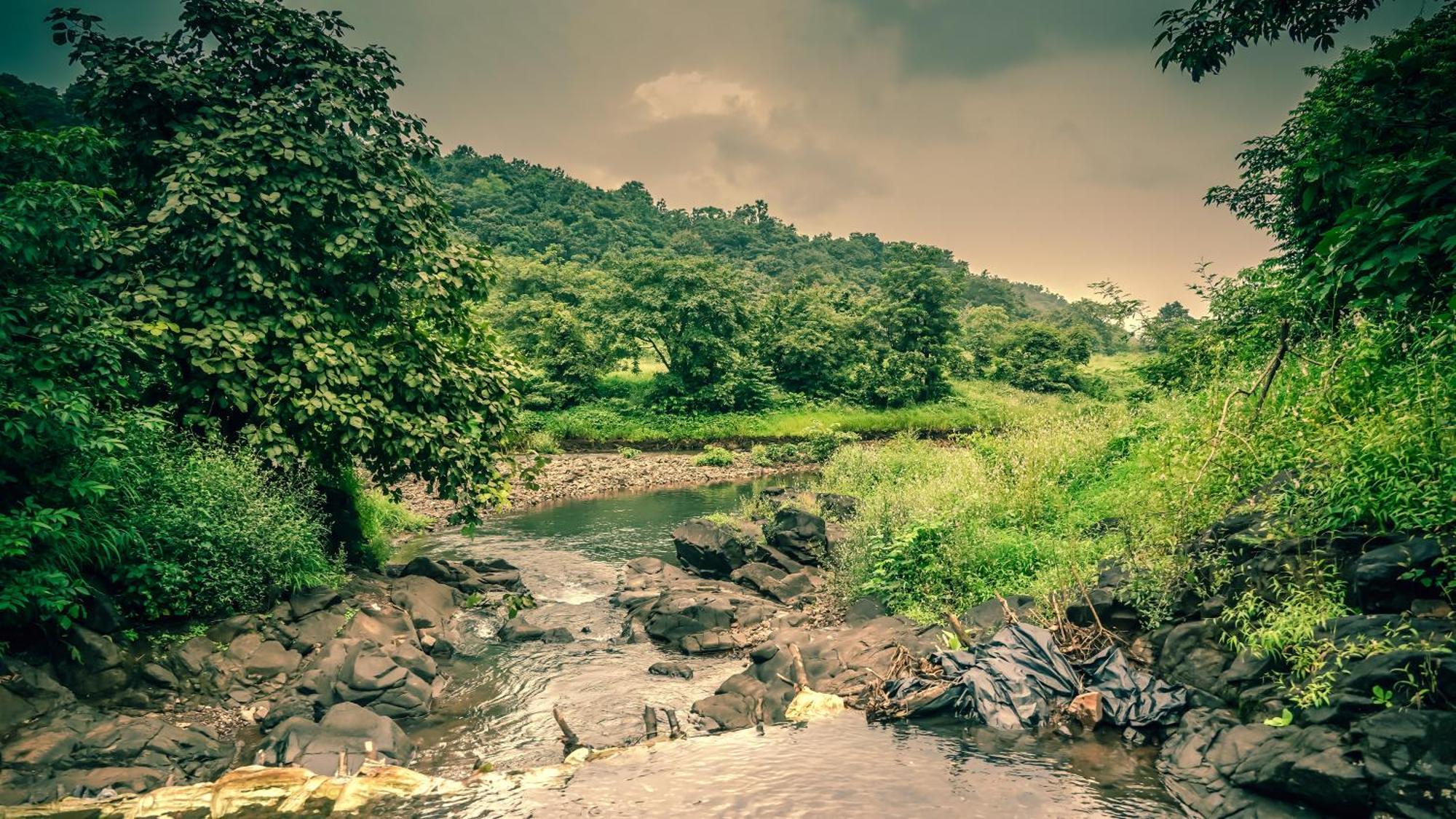 Whispering Peepul Resort Badlapur Ngoại thất bức ảnh