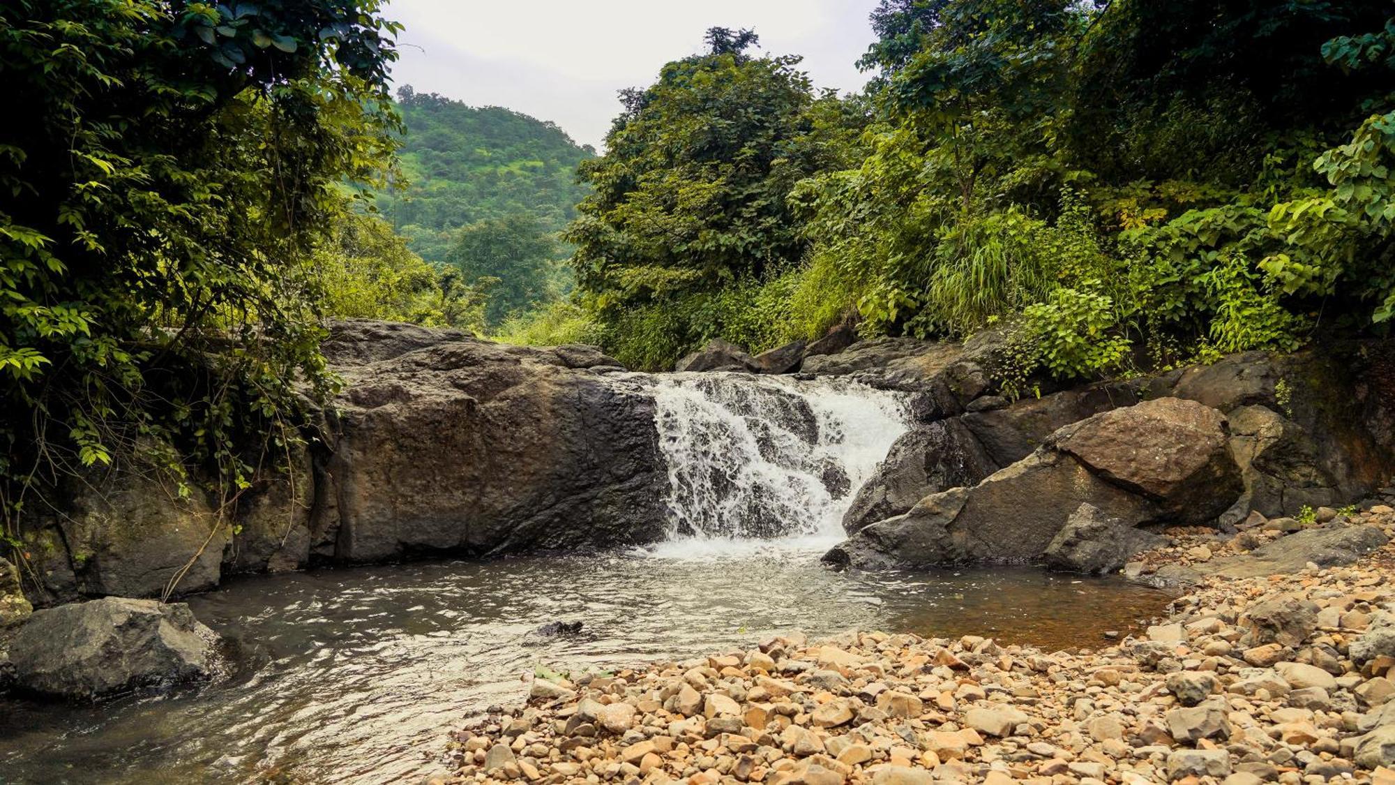 Whispering Peepul Resort Badlapur Ngoại thất bức ảnh