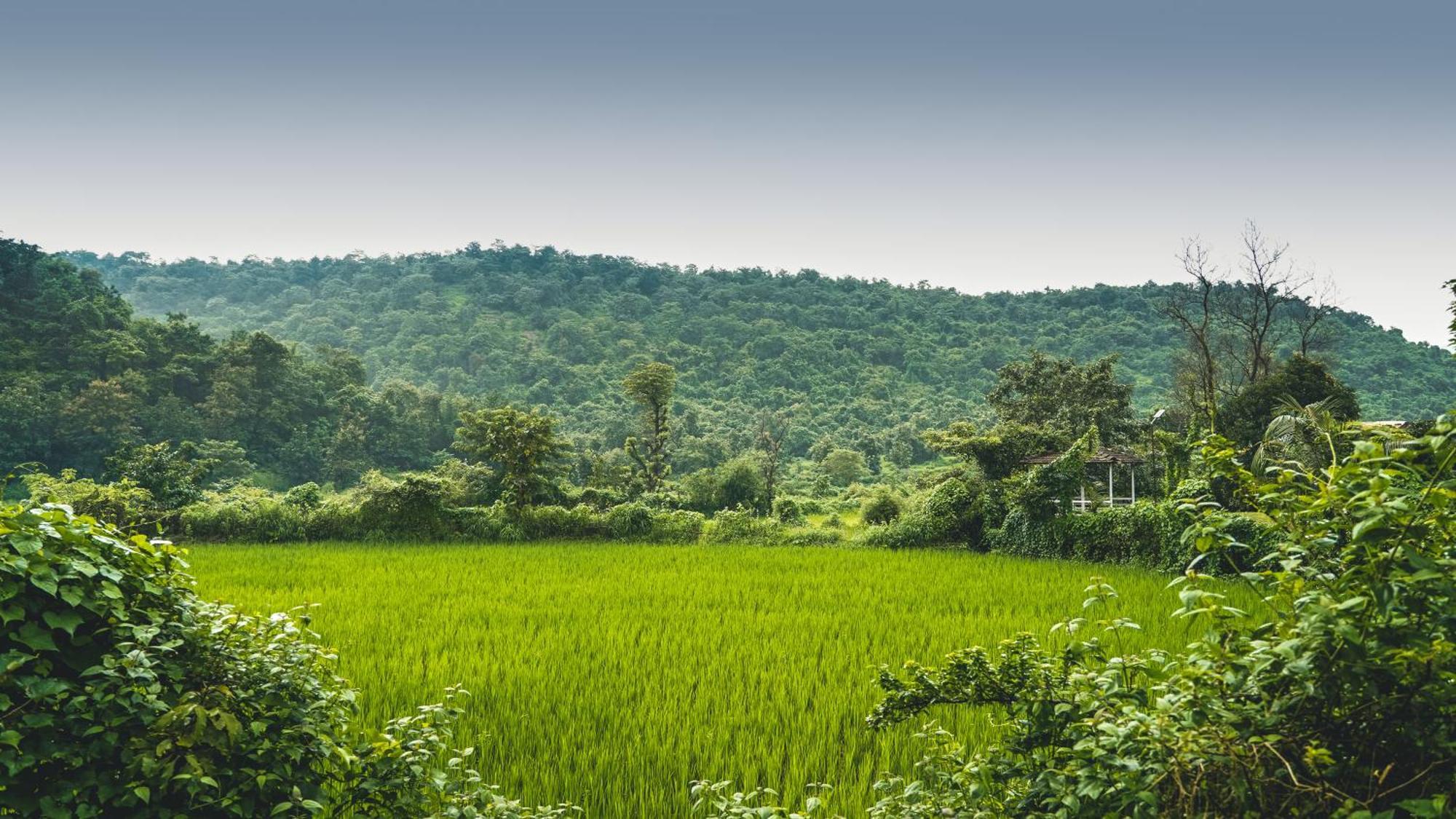 Whispering Peepul Resort Badlapur Ngoại thất bức ảnh